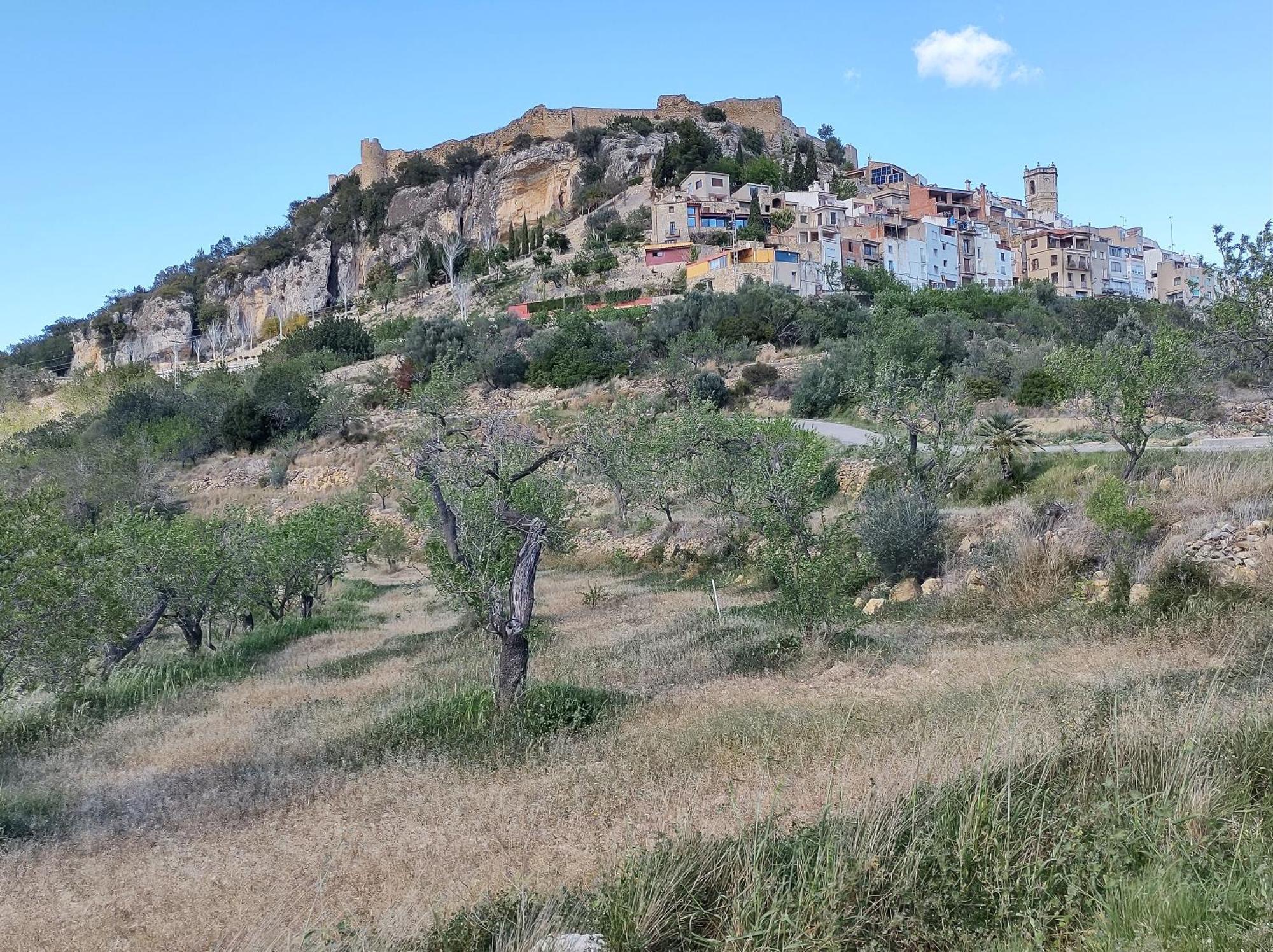 Tranquil And Spacious Townhouse In Historical And Picturesque Cervera Del Maestre Exterior foto